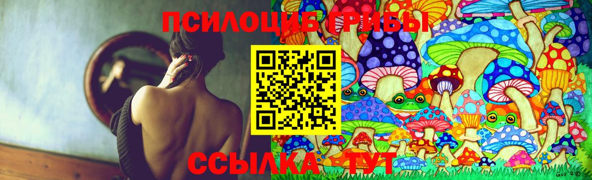 Галлюциногенные грибы Cubensis Спасск-Дальний