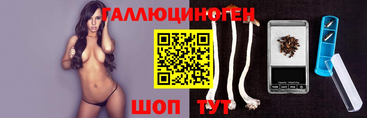 купить наркотики сайты  Вход с VPN  Спасск-Дальний  Галлюциногенные грибы Magic Shrooms  Галлюциногенные грибы Psilocybine cubensis 
